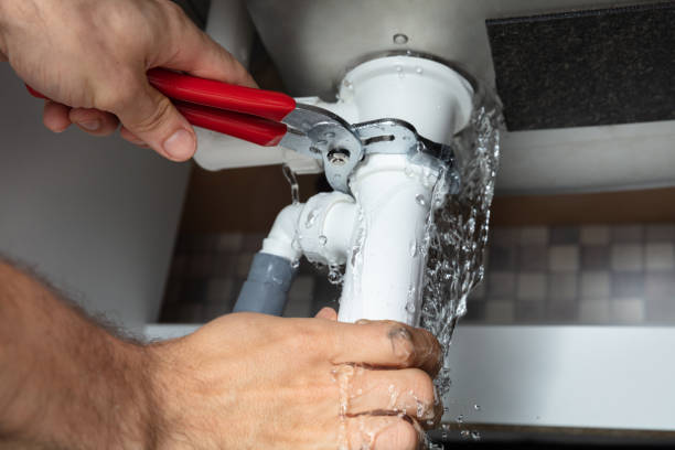 Best Professional water damage repair  in Crest Hl, IL