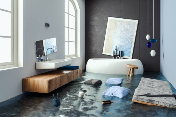 Crest Hl, IL Water damage restoration Pros