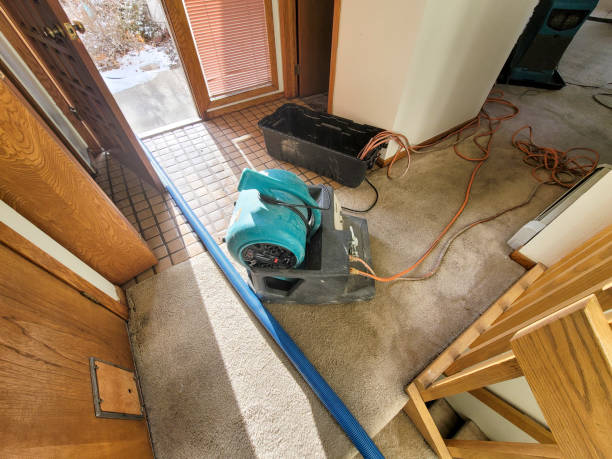 Best Water damage cleanup near me  in Crest Hl, IL