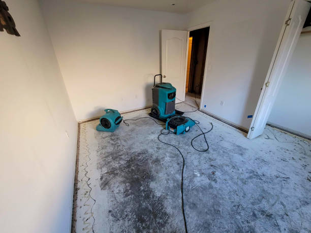 Best Commercial water damage restoration  in Crest Hl, IL