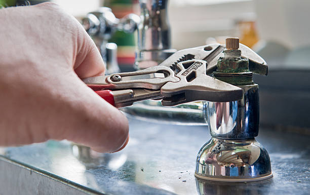 Best Flood restoration services  in Crest Hl, IL