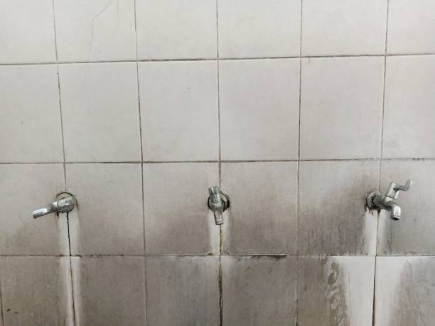 Best Carpet water damage restoration  in Crest Hl, IL