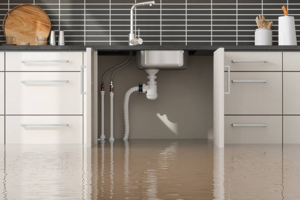 Best Water damage restoration near me  in Crest Hl, IL