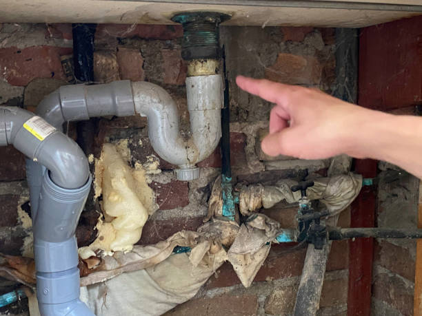 Best Flood damage cleanup  in Crest Hl, IL