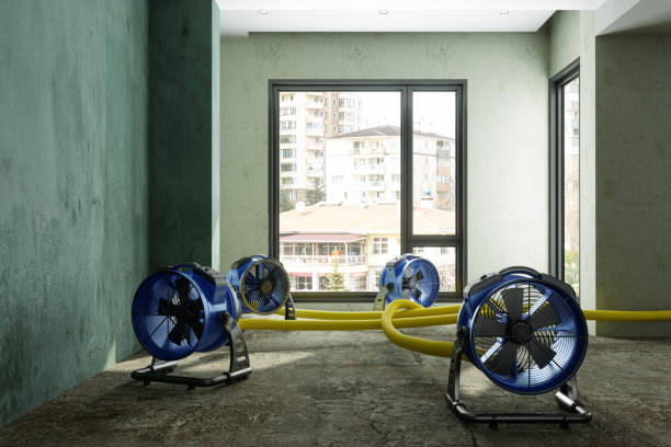 Water damage restoration insurance claims in IL