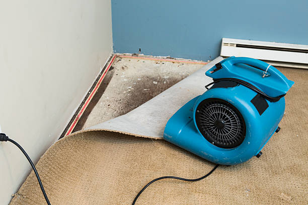 Best Water damage restoration insurance claims  in Crest Hl, IL