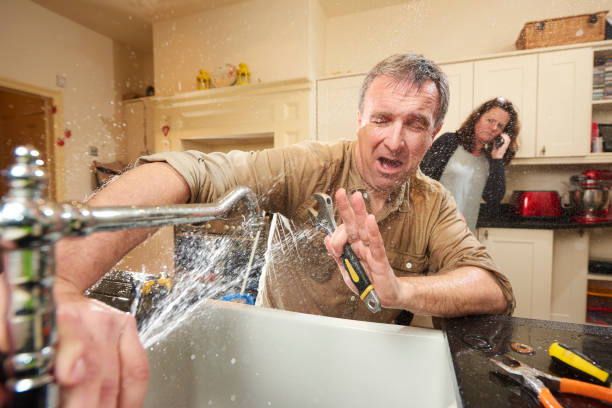 Best Water damage contractors near me  in Crest Hl, IL